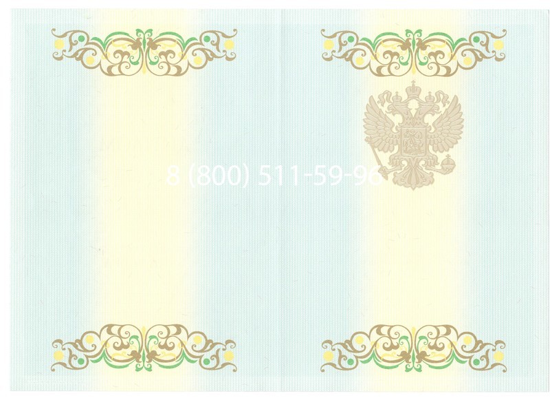 Купить Диплом бакалавра 2012-2013 годов в Дзержинске