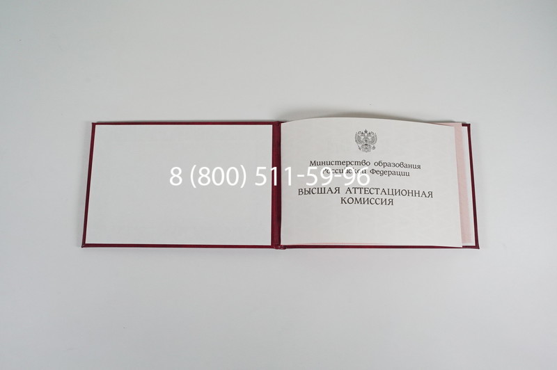 Диплом доктора наук 1995-2006 года в Дзержинске Диплом доктора наук 1995-2006 года в Дзержинске