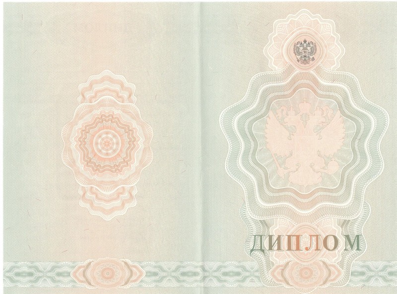 Купить Диплом о начальном образовании  2007-2009 годов в Дзержинске