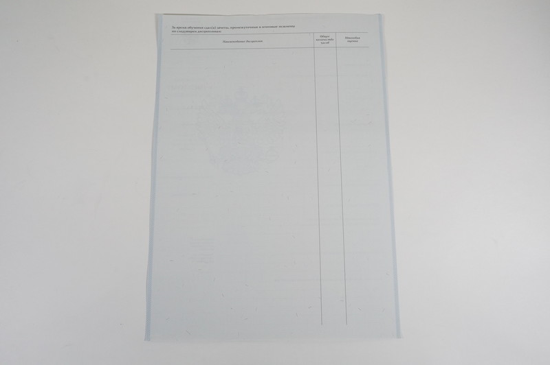 Диплом о начальном образовании  2007-2009 годов в Дзержинске