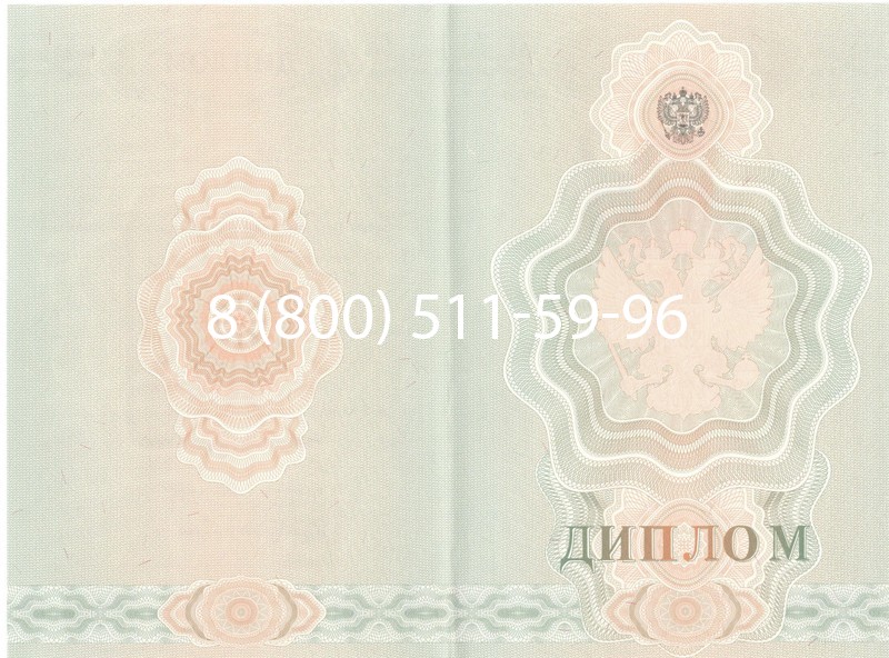 Купить Диплом ПТУ 2007-2010 годов в Дзержинске