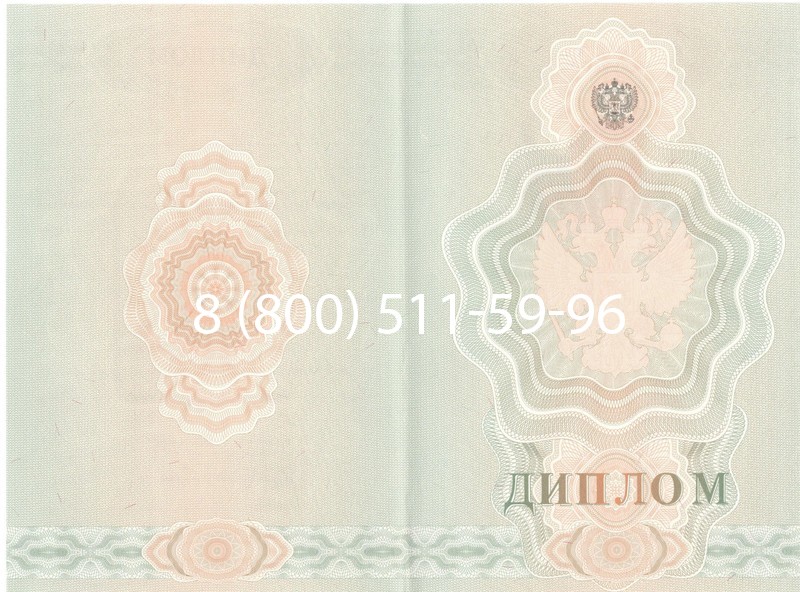 Купить Диплом училища 2007-2009 годов в Дзержинске